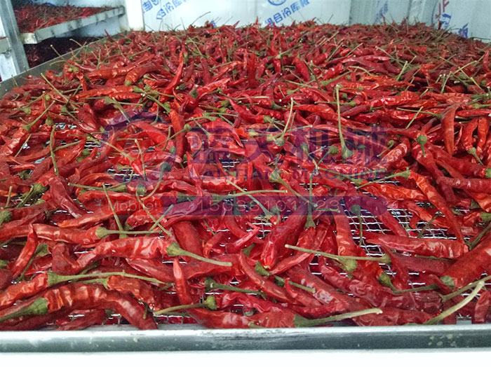 試機(jī)現(xiàn)場