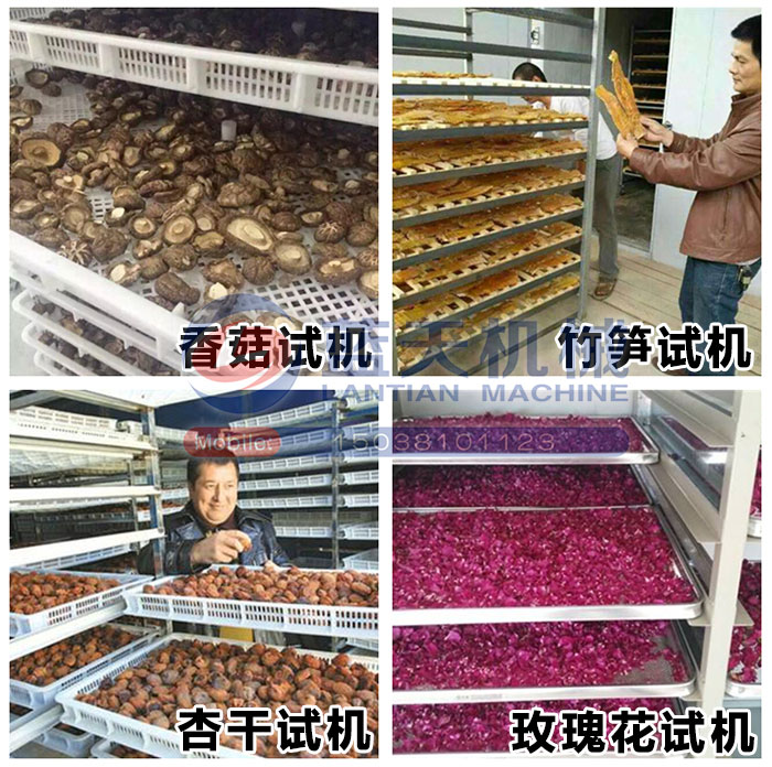 大型蔬菜烘干機(jī)試機(jī)現(xiàn)場
