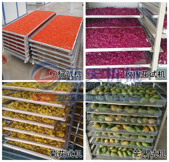 大型中藥材烘干機(jī)試機(jī)現(xiàn)場