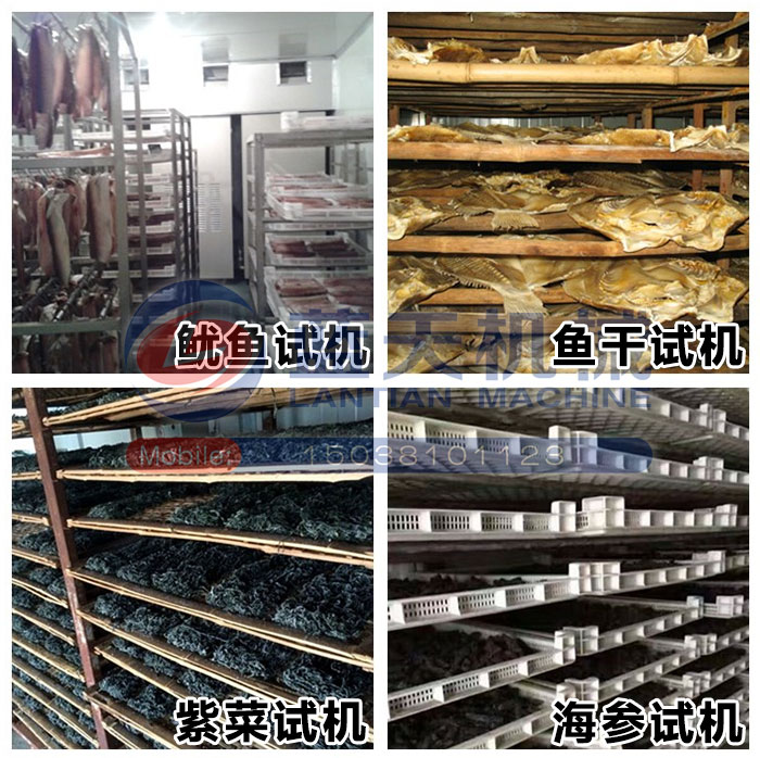 海產(chǎn)品烘干機試機現(xiàn)場