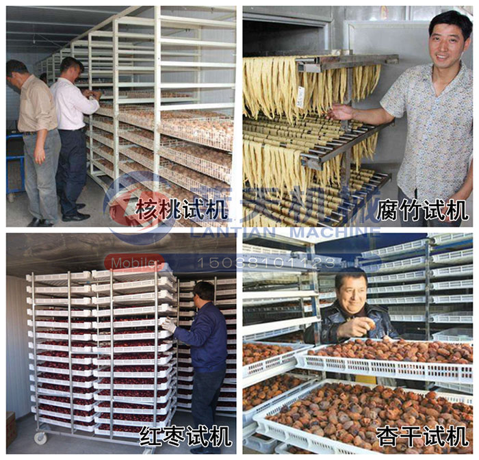 核桃烘干機試機現(xiàn)場