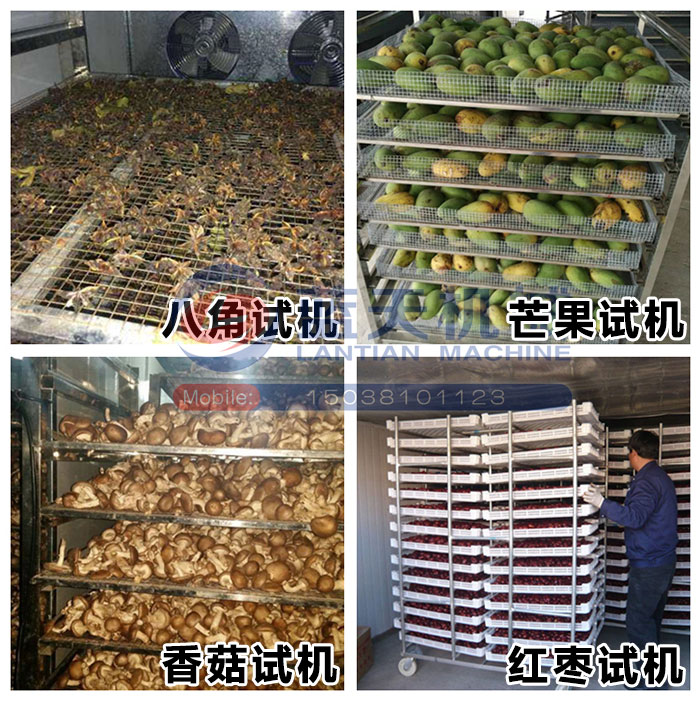 八角烘干機(jī)試機(jī)現(xiàn)場